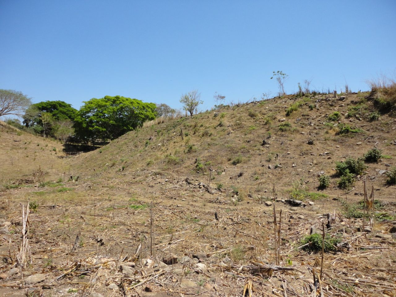 The pre-Hispanic site of Piedra Labrada had five ball fields and just began to be explored in 2011.  