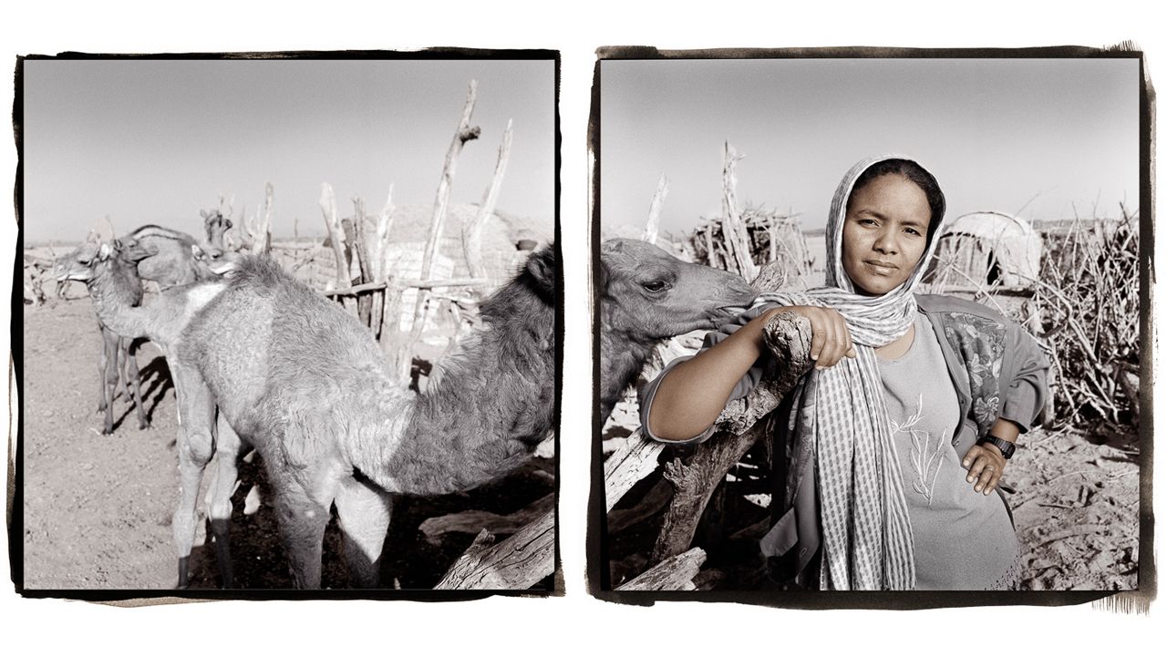 <strong>Abay, 28 (Awash Fontale, Ethiopia)</strong><br />Abay was born into a culture in which almost all girls are circumcised before the age of 12. But when it came time for her circumcision, she said no and ran away to live with her godfather. Years later, she returned to her Afar village as an outreach worker and persuaded one of the women to let her film a circumcision ceremony. When she showed the film to the village's male leaders, they were horrified by it and called a special meeting to put an end to the tradition.
