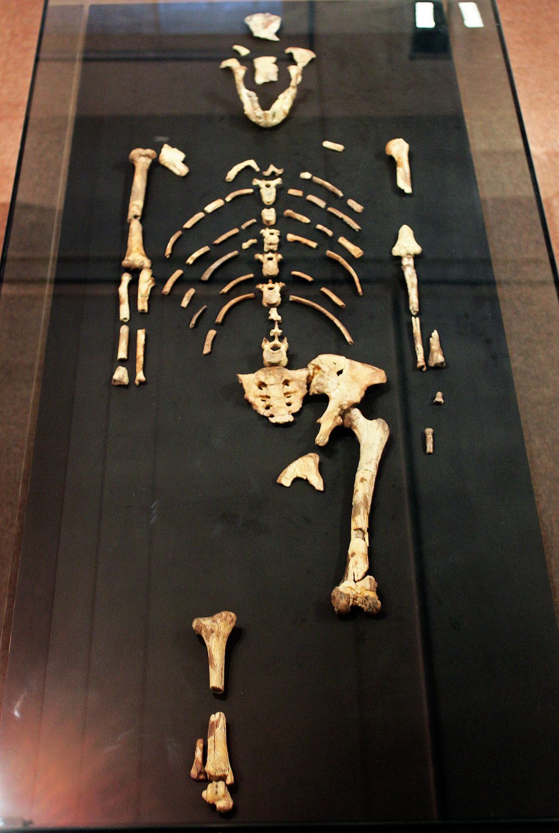 Ethiopia Lucy skeleton national museum