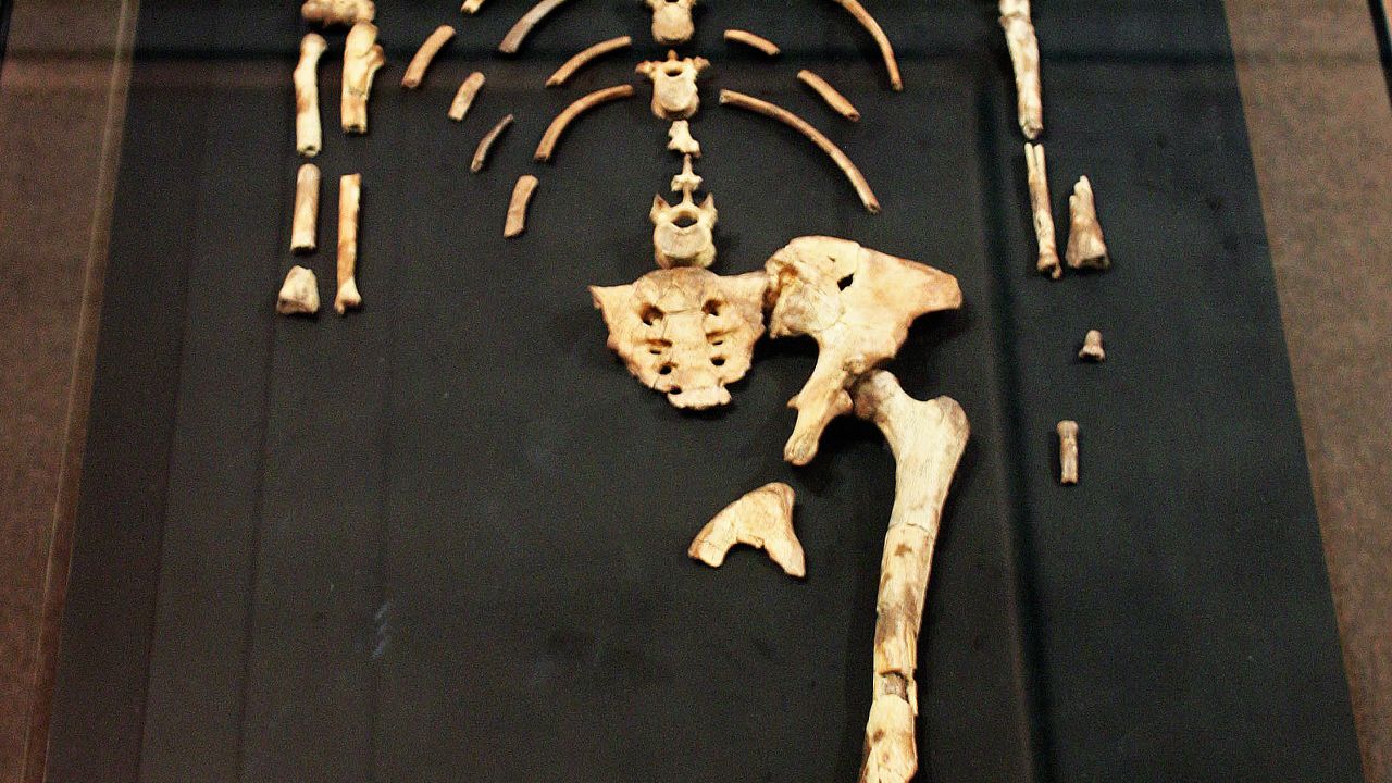 Ethiopia Lucy skeleton national museum