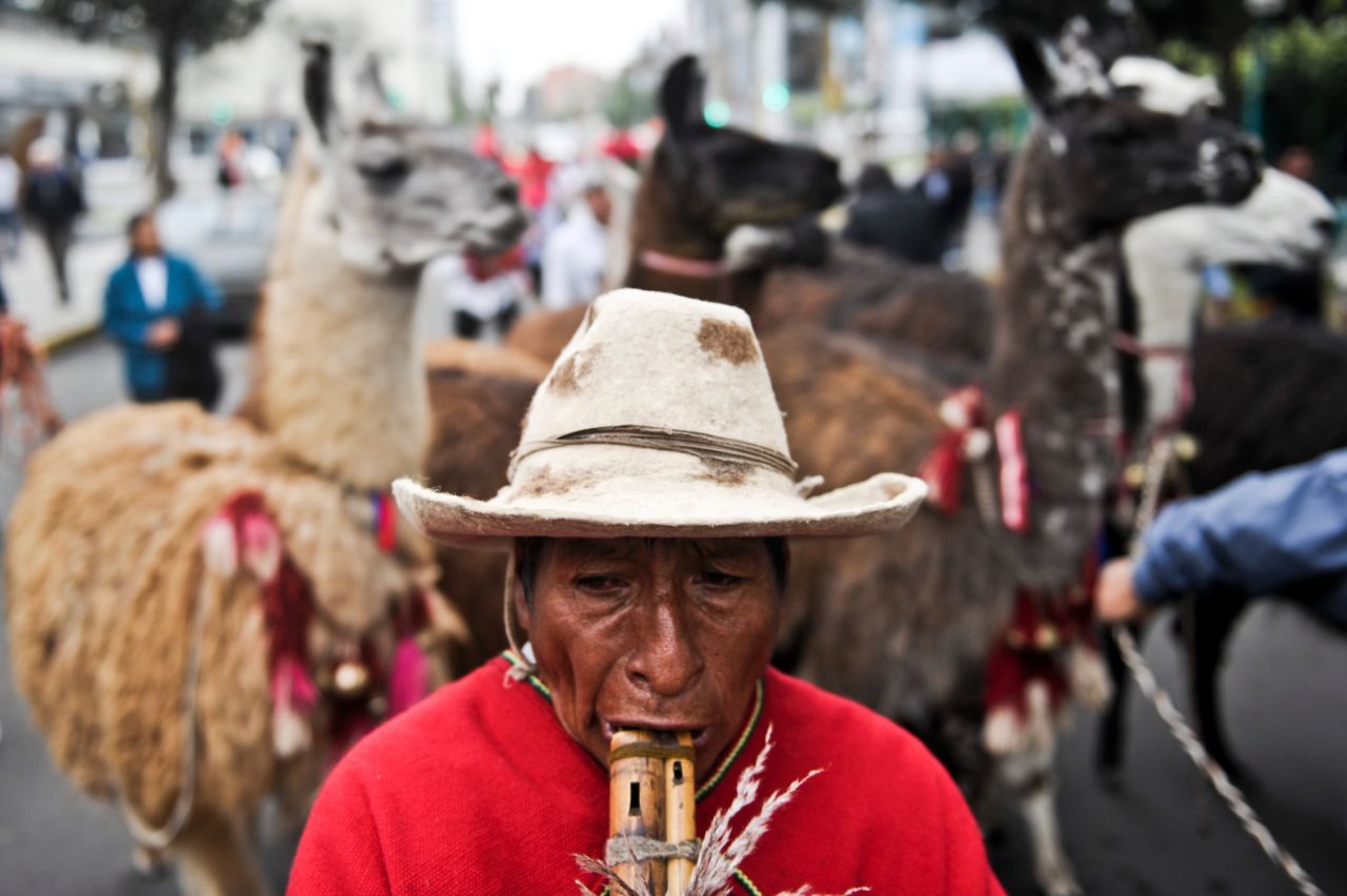 A man plays a traditional quena flute as he parades with llamas and alpacas to promote a local fair in Lima.