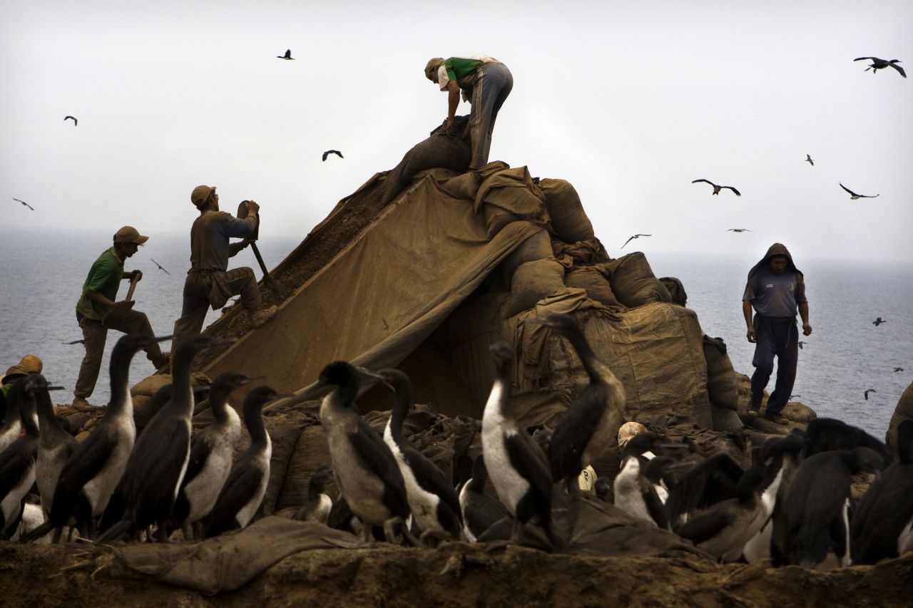 Workers drop sacks of guano into a strainer in Trujillo. Guano is an organic fertilizer once found in abundance on more than 20 islands off the Peruvian coastline.