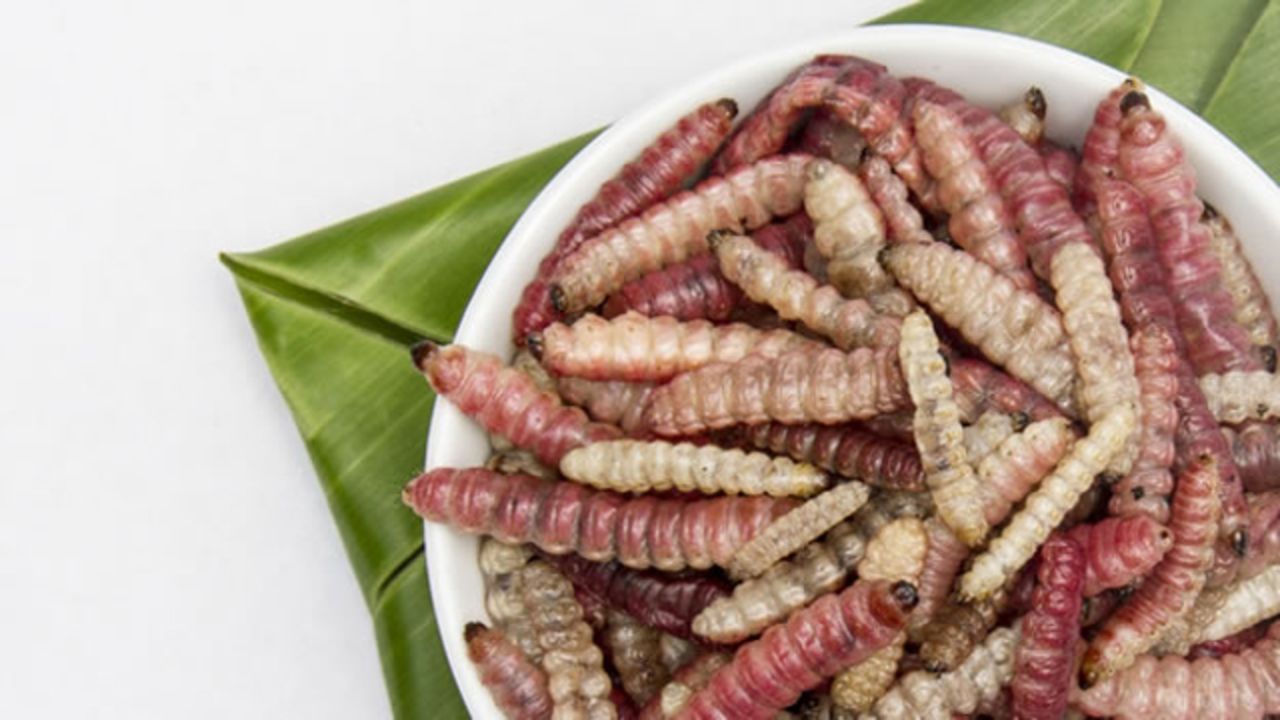 A U.N. report on food security had people around the world bugging out in light of the organization's advice that we all add insects to our diet. In May 2013, the group's etnomophagy experts shared compelling evidence suggesting that increased intake of insects would promote health, wealth and a cleaner environment for both rural and urban communities around the globe.