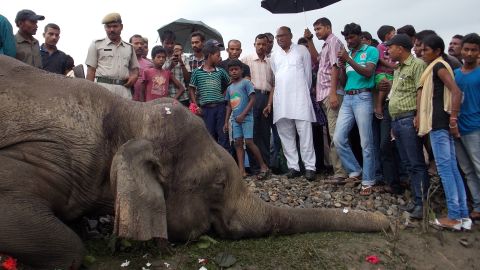 Train mows down three elephants in eastern India | CNN