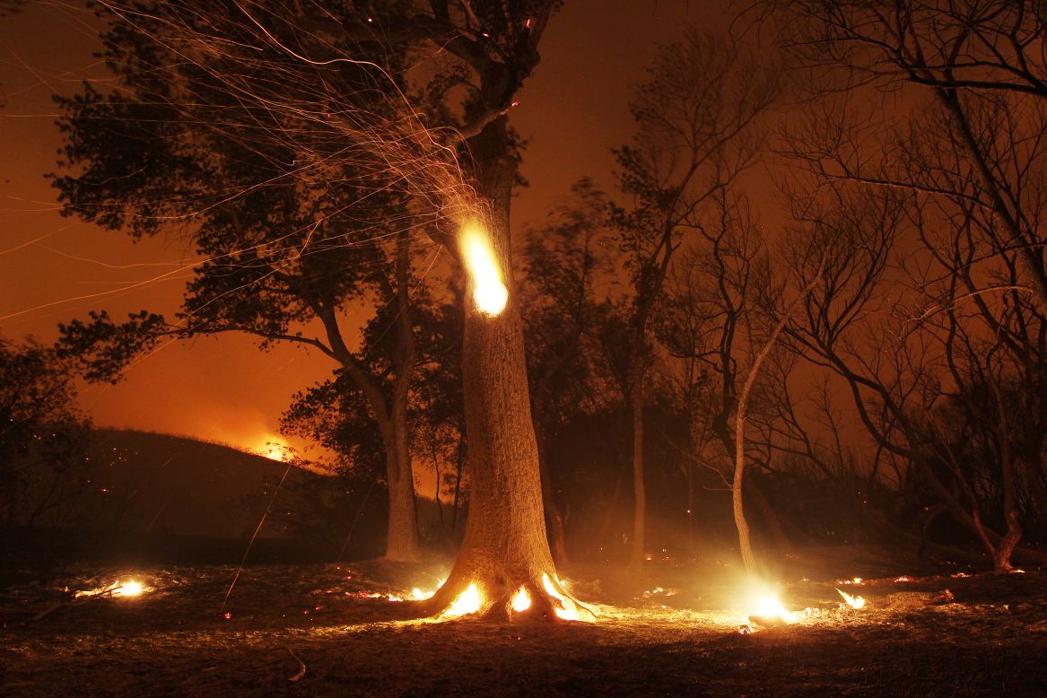 Sparks fly from a hollowed burning tree at the Powerhouse Fire on Sunday, June 2, near Lake Hughes, California.