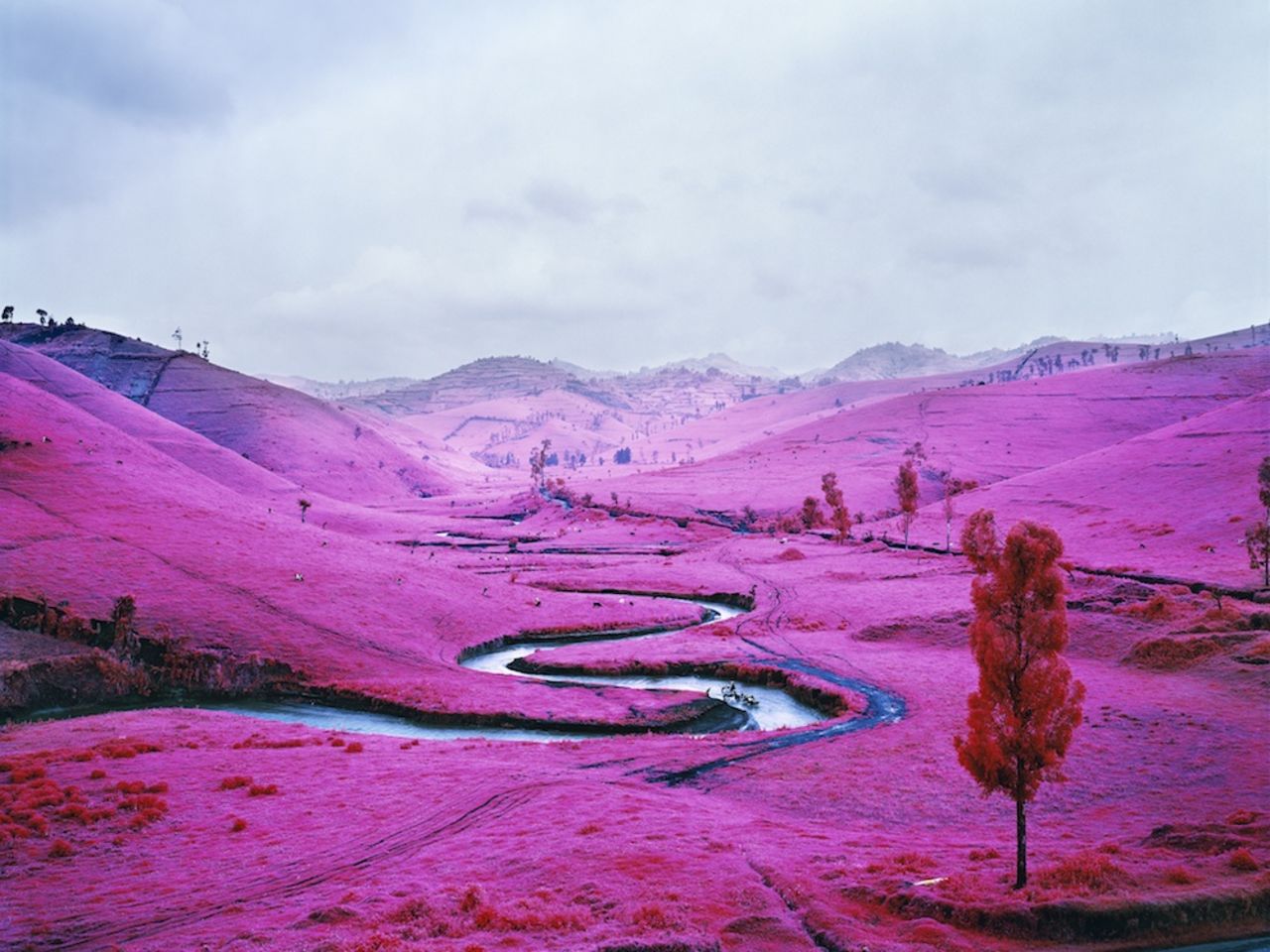 Artist Richard Mosse is well known for his infrared images of eastern Democratic Republic of Congo. 