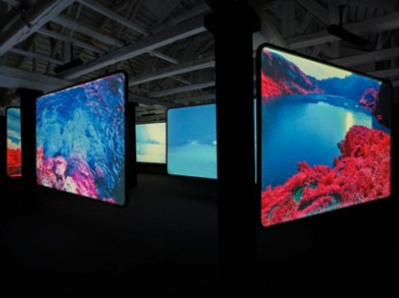 Courtesy of Richard Mosse and Jack Shainman Gallery