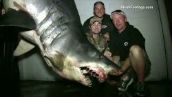 1,300 lb mako shark caught _00000607.jpg