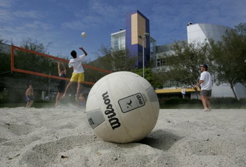 It may seem like a Hollywood exaggeration, but yes, Googlers really do play volleyball at work. 