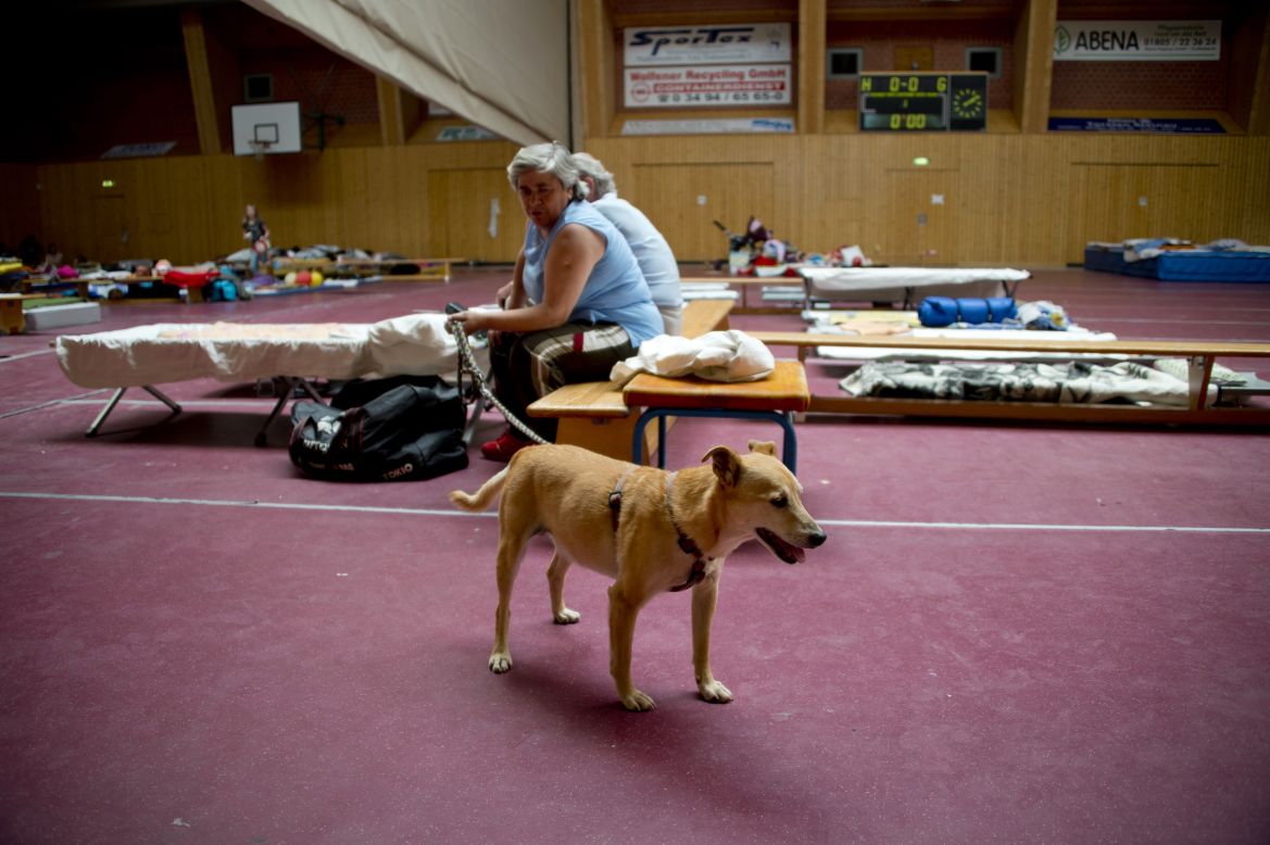 Residents and their pets take refuge from the flooding in a shelter in Bitterfield, Germany, on June 6.