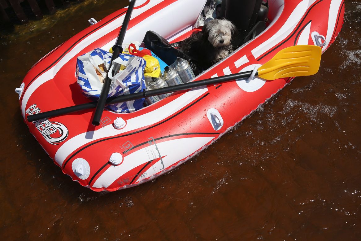 Chewbaca sits among groceries and bottles of butane in a rubber raft as his owner pulls him through a flooded street near the swollen Elbe River on June 7.