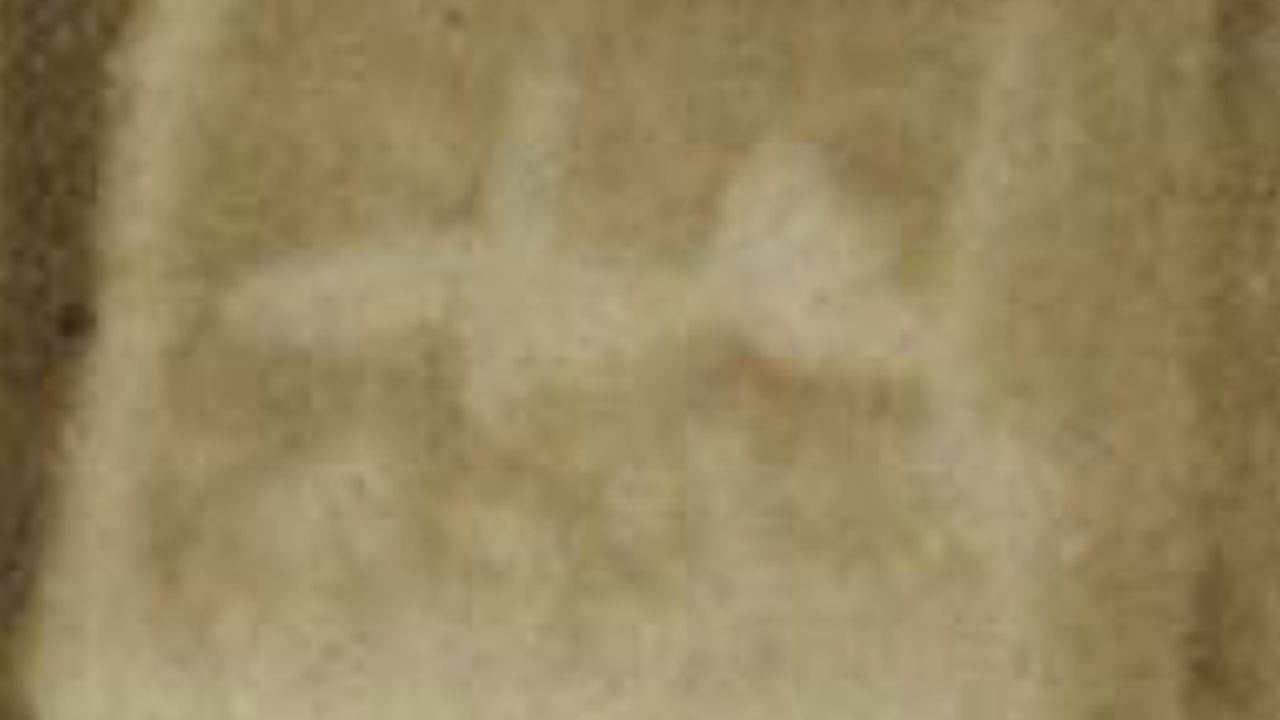 A magnified image may show Whitehead's "monoplane in flight with a central mast" and a tree on the right, says John Brown. Brown says it could be a photo that reporters described in news reports of the day.