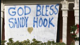 sandy hook banner