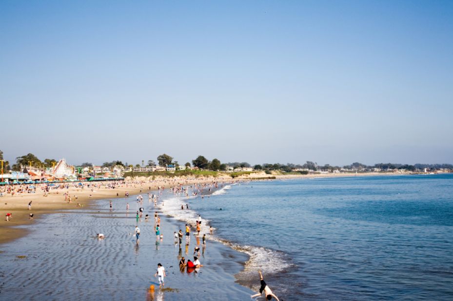 Santa Cruz, California, is home to the Beach Boardwalk amusement park and Henry Cowell Redwoods State Park.