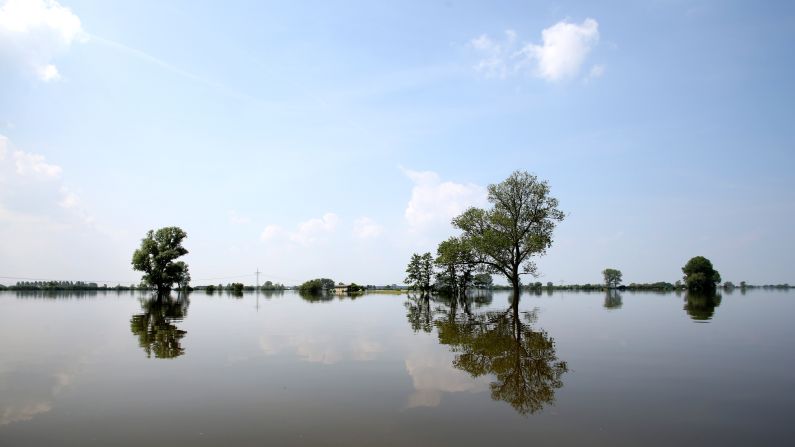 Trees are submerged in the waters of the Elbe River in Schoenhausen, Germany, on Wednesday, June 12. Heavy rain has left rivers swollen <a href="index.php?page=&url=http%3A%2F%2Fwww.cnn.com%2F2013%2F06%2F11%2Fworld%2Feurope%2Feurope-flood%2Findex.html">across Central Europe</a>.