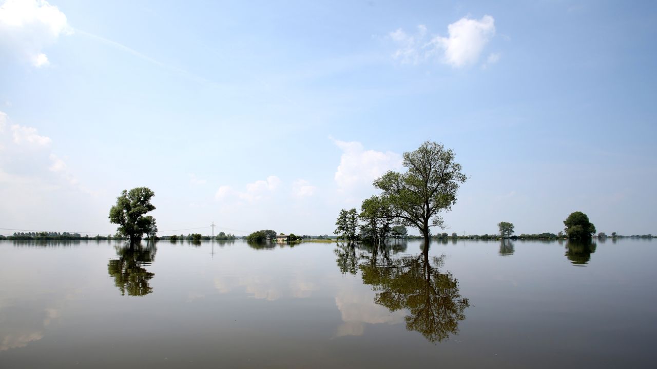 Trees are submerged in the waters of the Elbe River in Schoenhausen, Germany, on Wednesday, June 12. Heavy rain has left rivers swollen <a href="http://www.cnn.com/2013/06/11/world/europe/europe-flood/index.html">across Central Europe</a>.