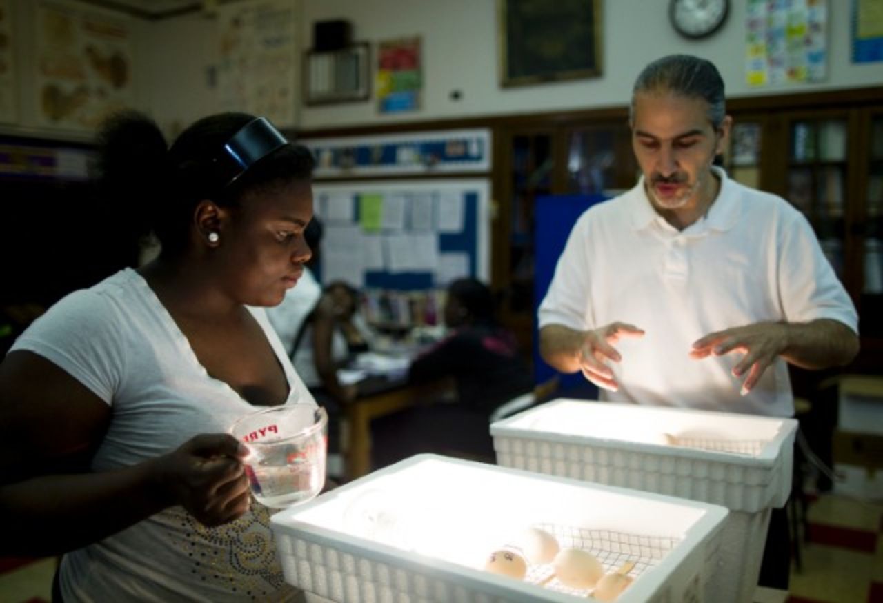 Incubating eggs is part of the curriculum at Catherine Ferguson.