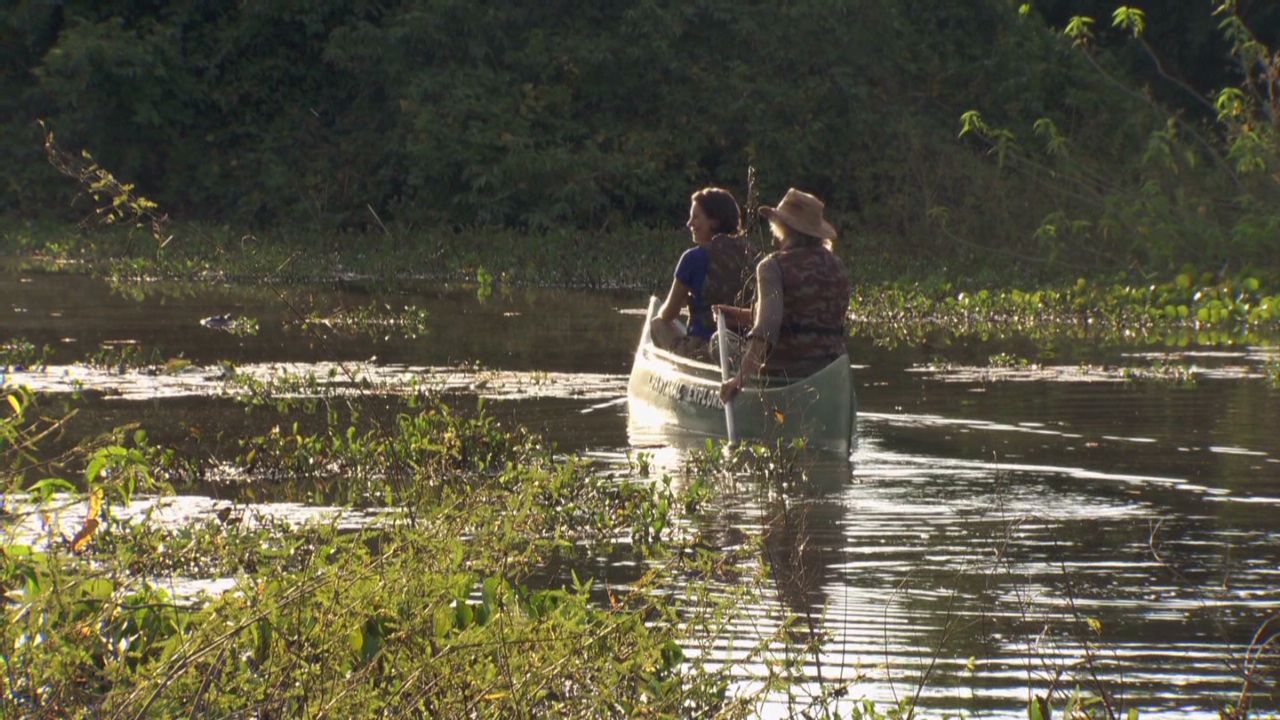 pkg darlington brazil pantanal wetland_00010807.jpg