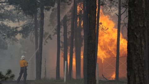A firefighter fights a blaze near Black Forest, Colorado, on Wednesday, June 12. The Black Forest Fire is one of two major wildfires near Colorado Springs. The other, the Royal Gorge Fire, is threatening the Royal Gorge Suspension Bridge.