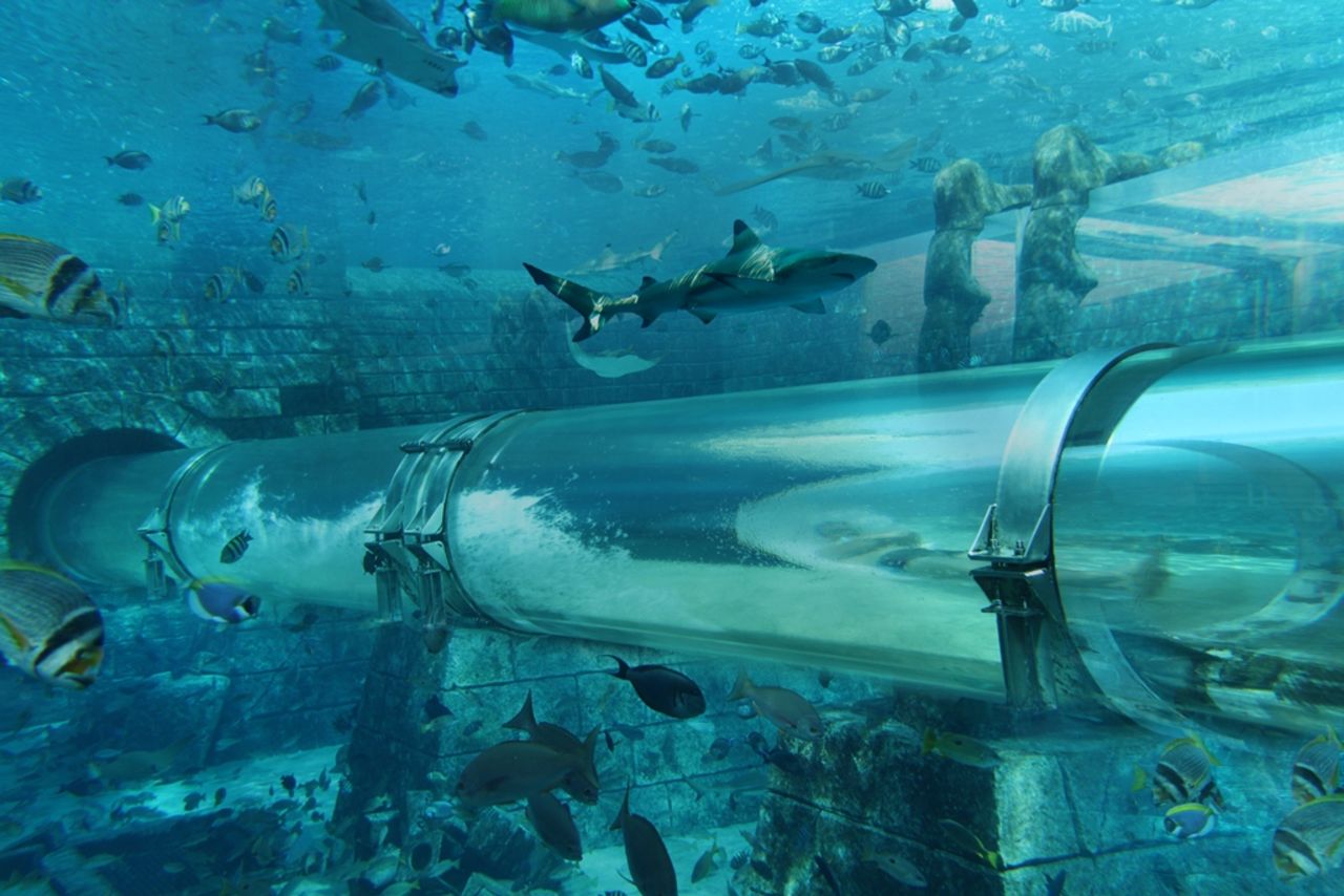 Dubai has long been obsessed with unusual theme parks. One of the city's landmark tourist destinations is Aquaventure at the Atlantis Hotel on the Palm island. The Shark Attack ride -- whereby visitors slide through a shark-filled aquarium -- is particularly popular. 