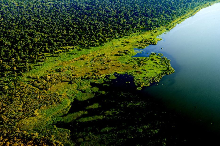Rubondo is Tanzania's only island national park.