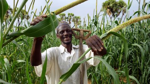 A farmer poses in his millet field near the village of Simiri, Niger, on January 27, 2011.
