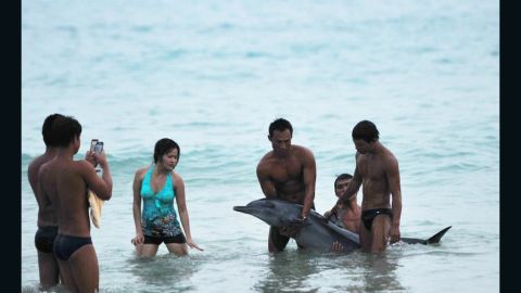 Chinese netizens are outraged as photos surface of tourists posing with a dying dolphin in Hainan.
