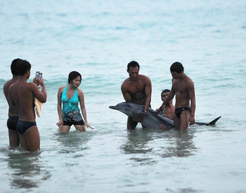 Chinese netizens were <a href="http://www.cnn.com/2013/06/18/world/asia/china-dolphin-controversy/index.html">outraged</a> when photos surfaced of tourists posing with a dying dolphin in Hainan, in June 2013. Article 14 of China's new tourism law states: "Tourists shall observe public order and respect social morality in tourism activities, respect local customs, cultural traditions and religious beliefs, care for tourism resources, protect the ecological environment, and abide by the norms of civilized tourist behaviors."