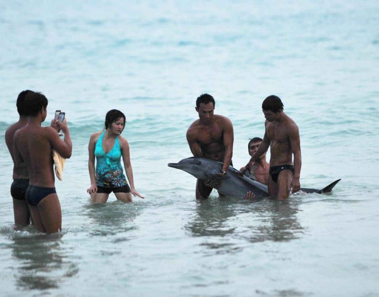 Chinese netizens were outraged when photos surfaced of tourists posing with a dying dolphin in Hainan in June.