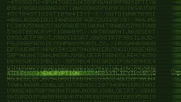 In an online question-and-answer session, NSA leaker Edward Snowden said encrypting email makes it unreadable by the National Security Administration.