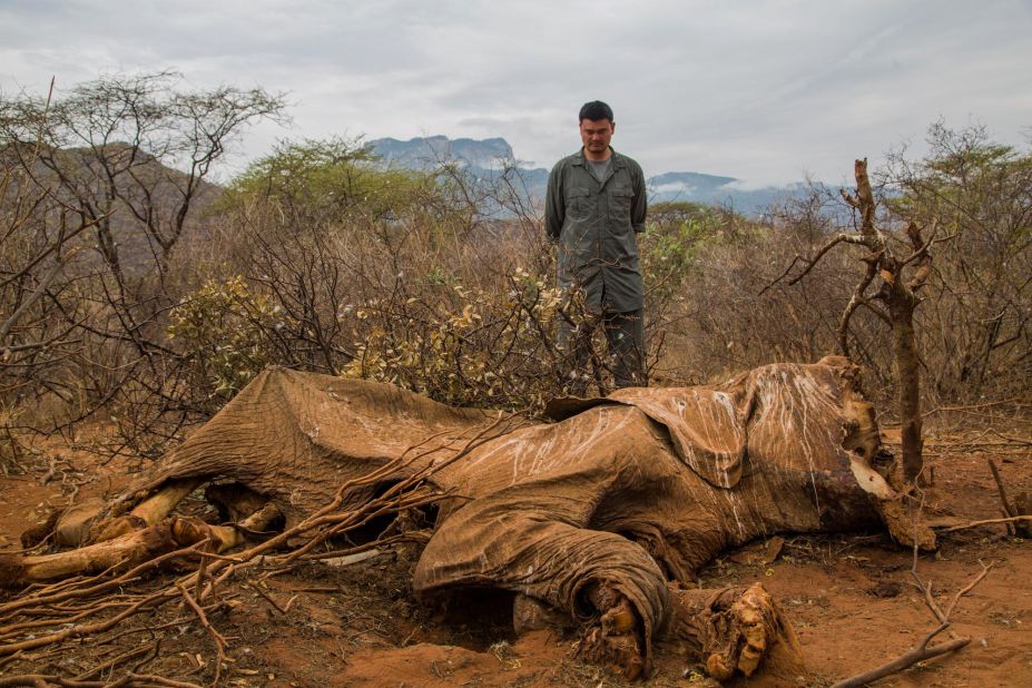 "You can't really be prepared. What actually throws you off, what everyone forgets to mention, is the smell," says Ladkani.  "It gets in your clothes. It stays with you for two weeks, you can't get rid of it." Pictured: Wild Aid Ambassador Yao Ming looks at the carcass of an elephant in Samburu, Kenya 