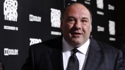 Gandolfini at the premier of "Zero Dark Thirty" at the Dolby theater in Hollywood on December 10, 2012.