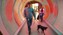 This gallery offers a look inside tech companies' striking offices: A 'time tunnel' at Zynga, featuring programmable LED lights, leads from the entrance to the office space.
