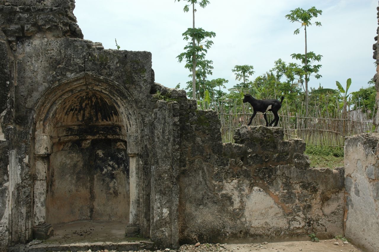 "From the 1100s to the 1300s, Kilwa was the most prominent port in the entire east African coast, bigger than Mombasa, Zanzibar and Mogadishu," says professor Ian McIntosh.