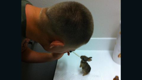 The guy who saved the bunnies | CNN Business
