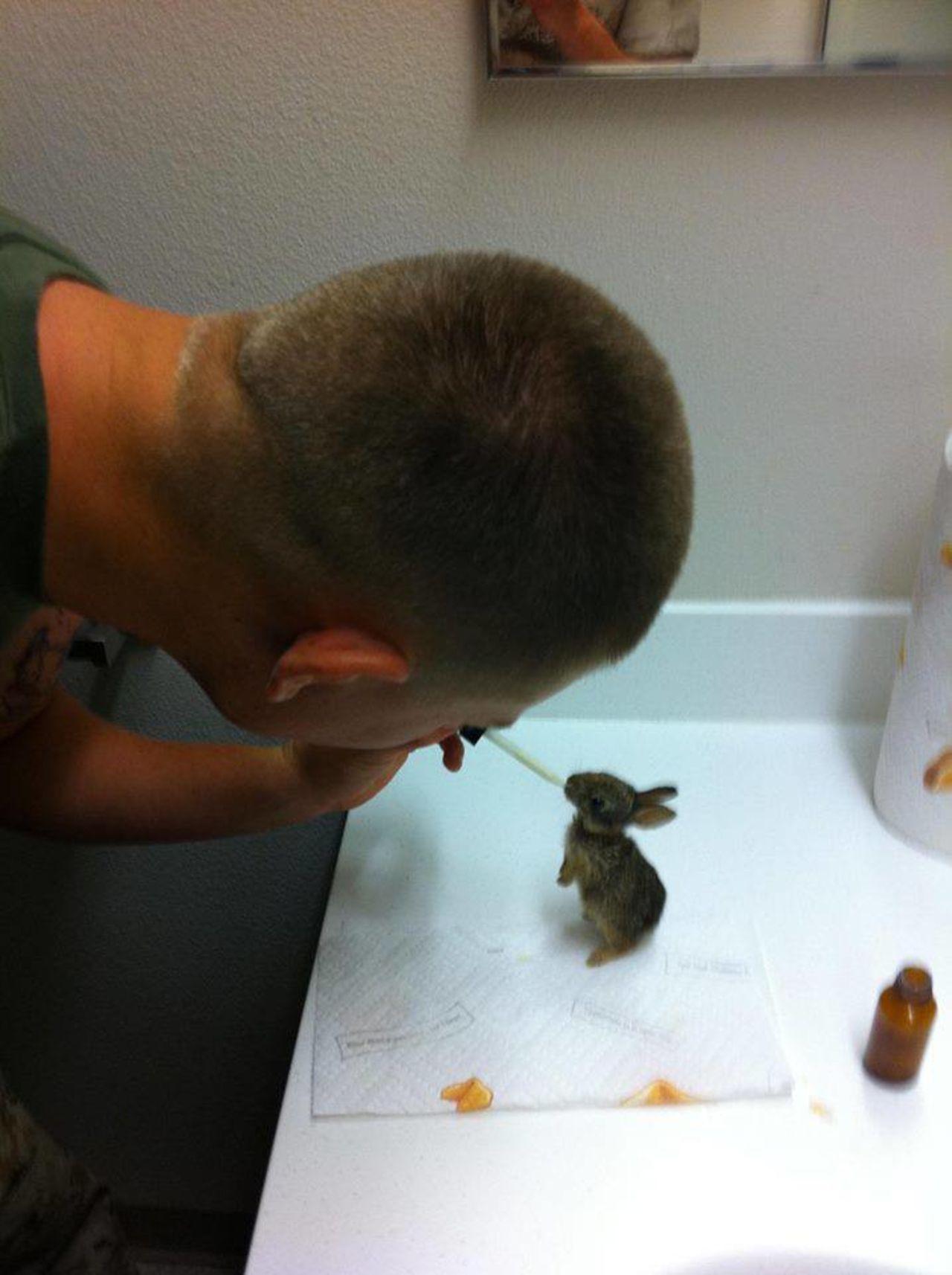 Joshua Bisnar says he rescued four orphaned rabbits while stationed at Camp Pendleton in Oceanside, California.  