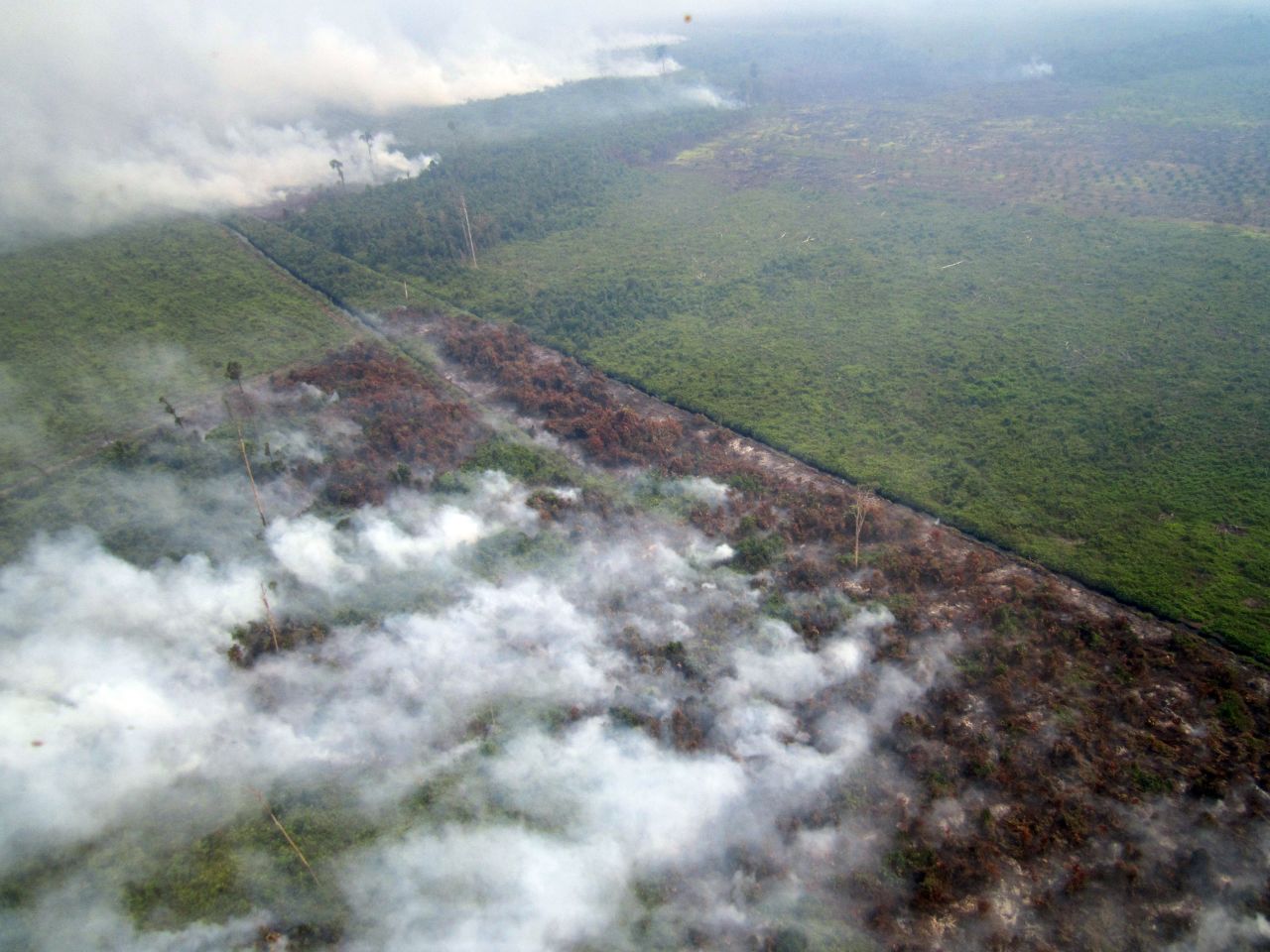 An aerial photograph taken on June 17 showed smoke billowing from fires in areas surrounded by agricultural plantations in Rokan Hilir town in Sumatra, about 280 kilometers (173 miles) west of Singapore. 