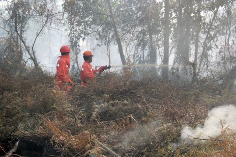 Indonesian firefighters from the Forest Ministry battled forest fires on June 20 in Pekanbaru, the capital of Riau province on Sumatra island.