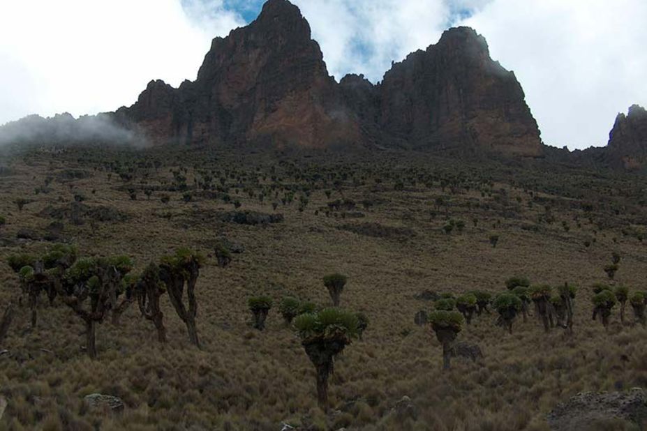 This one is actually an extension to Mount Kenya Natural Park, which consists of 20,000 hectares and a buffer zone of almost 70,000 hectares and was inscribed in 1997. "The extension lies within the traditional migrating route of the African elephant population of the Mount Kenya Natural Park, world renowned as the location of the second highest peak in Africa, Mt Kenya, that rises 5,199 meters above the sea," says the inscription.