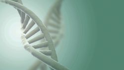 human genome