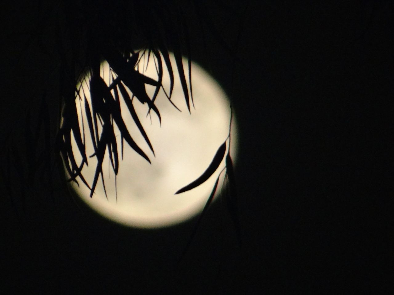 <a href="http://ireport.cnn.com/docs/DOC-993848">Munawar Ahmed </a>photographed the Supermoon in Lahore, Pakistan. "I love to work on the beautiful nature of God, and capturing beautiful effects is my hobby, which gives me a lot of energy and refreshes my mind, heart and soul," he said. 