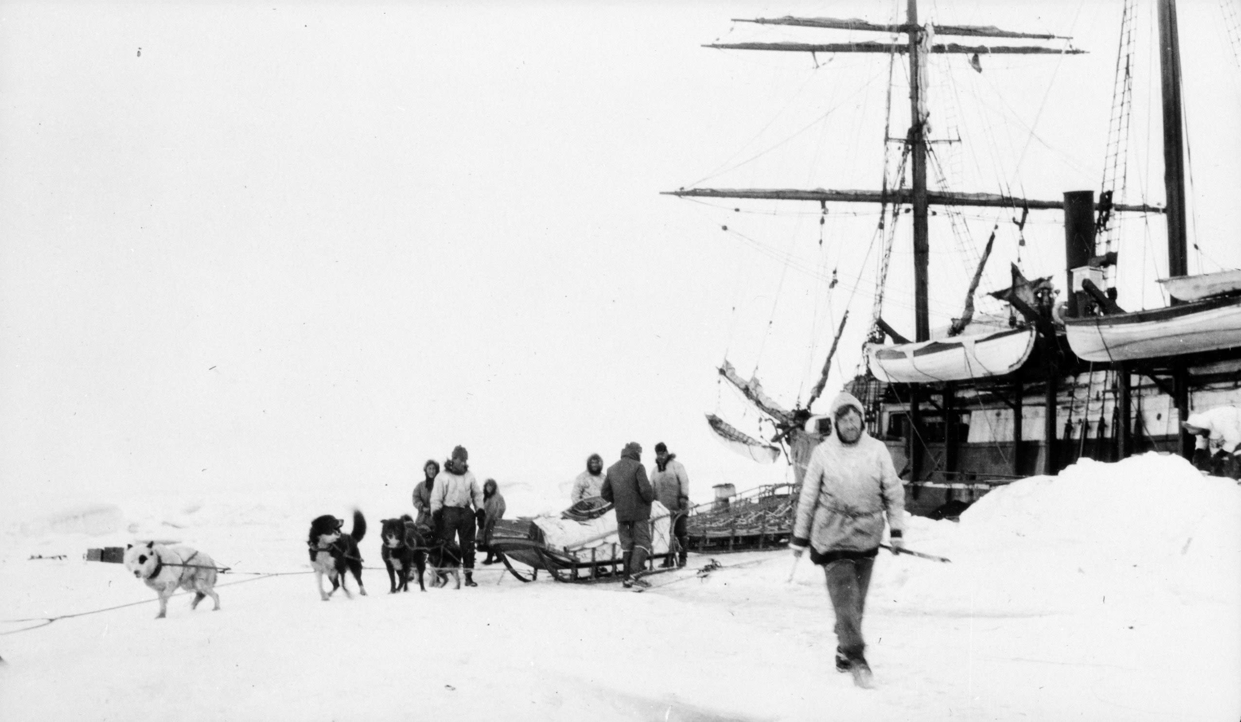 В середине 20 века антарктида. Экспедиция Руаля Амундсена.