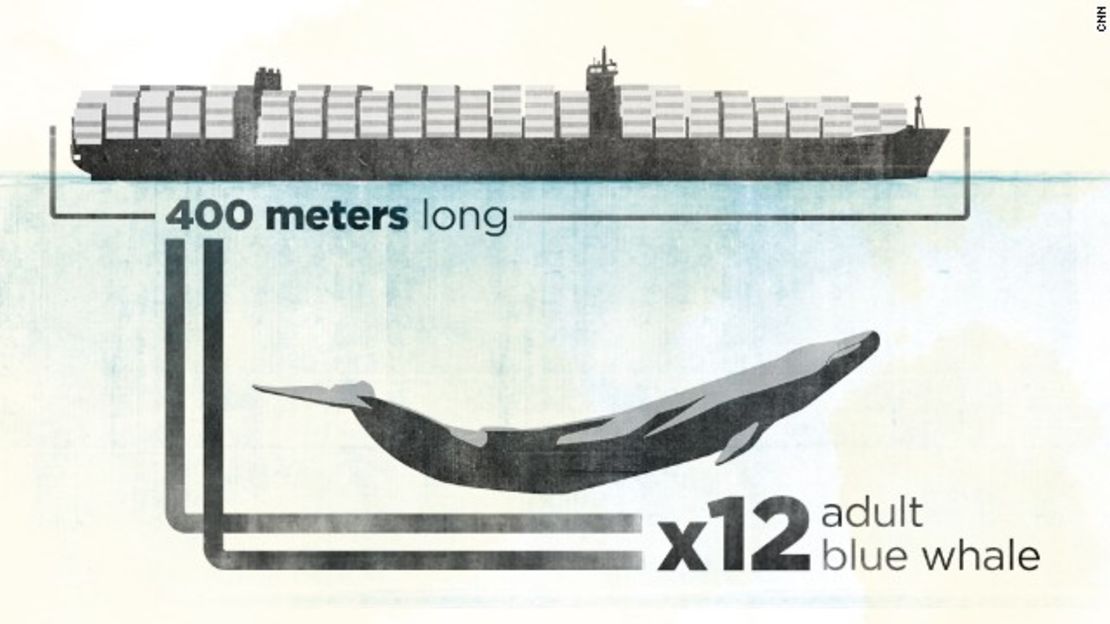 The Triple E is roughly 12 times longer than an adult blue whale.