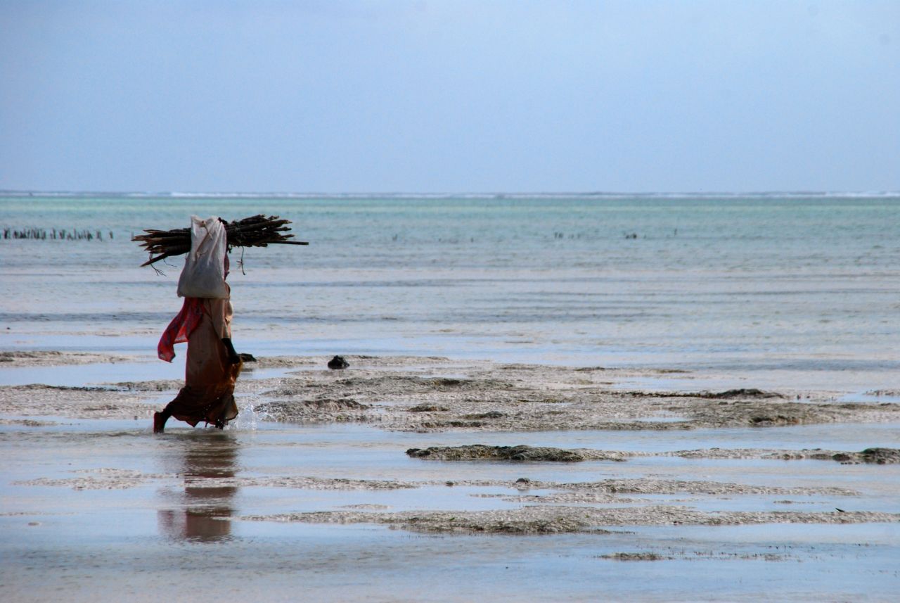 Aside from tourism, fishing is the main source of income for many residents of Zanzibar.