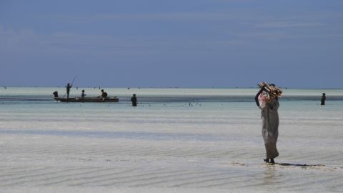 Fishing is the primary source of income for many Zanzibar residents.