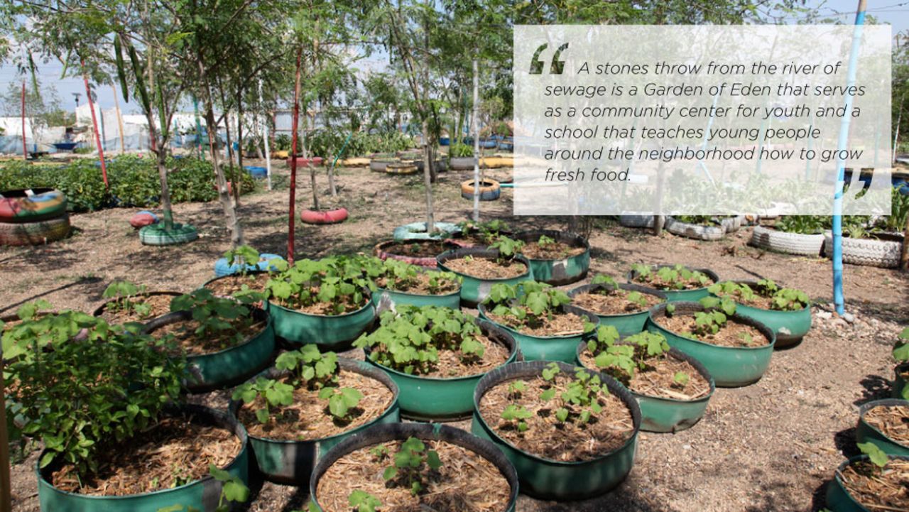 Eggplants, peppers and basil are examples of vegetables grown at the Jaden Tap Tap. There are very few sources of fresh produce in Haiti.