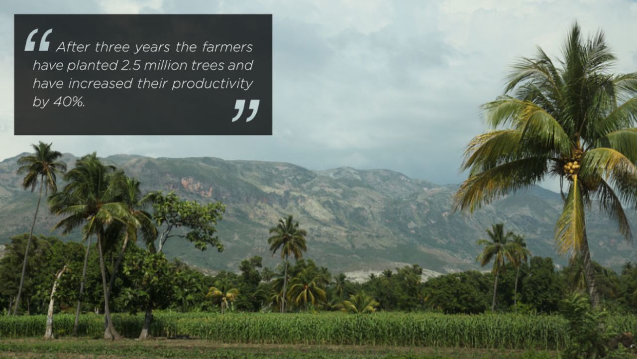 The Smallholder Farmers Alliance is an oasis of green planted by members whose aim is to plant one million trees a year. 
