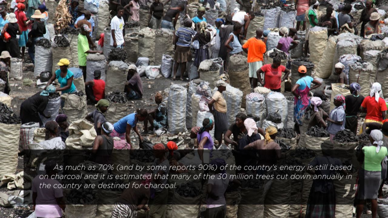 During CNN's travels in Haiti they stumbled upon one of the main culprits to the country's deforestation -- a charcoal market outside Port-au-Prince.