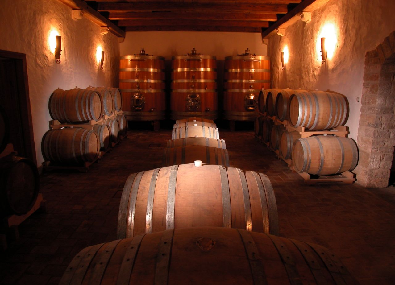 Taste wines at Kabola, Istria's first green-certified winery. Here you can try wines that have aged in amphoras, or clay vessels. 