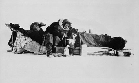 McConnell -- seen here fixing a meal on a sled -- was husky, energetic and just 22 when he set out with the expedition. The mission was to  conquer the last unexplored part of the north.